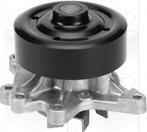 Graf PA953 - Water Pump onlydrive.pro