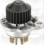 Graf PA653 - Water Pump onlydrive.pro