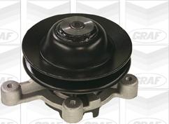 Graf PA036 - Water Pump onlydrive.pro