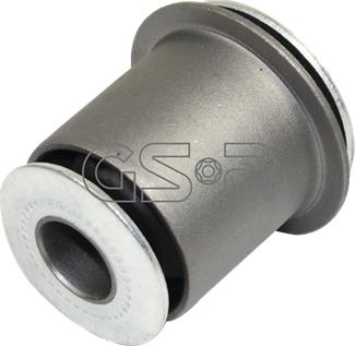 GSP 513005 - Bush of Control / Trailing Arm onlydrive.pro