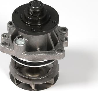 Hepu P472 - Water Pump onlydrive.pro