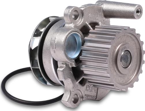 Hepu P549 - Water Pump onlydrive.pro