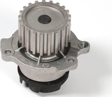 Hepu P625 - Water Pump onlydrive.pro