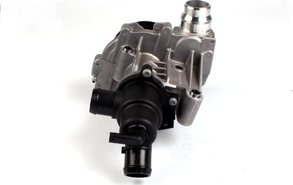 Hepu P1517A-TH - Water Pump onlydrive.pro