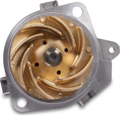 Hepu P1055 - Water Pump onlydrive.pro