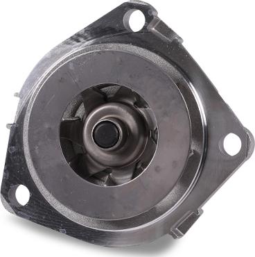 Hepu P1089 - Water Pump onlydrive.pro