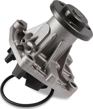 Hepu P1081 - Water Pump onlydrive.pro