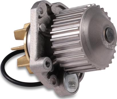 Hepu P1075 - Water Pump onlydrive.pro