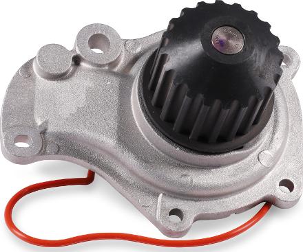 Hepu P1719 - Water Pump onlydrive.pro