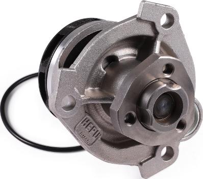 Hepu P347 - Water Pump onlydrive.pro