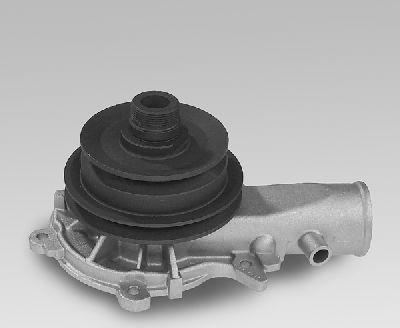 Hepu P319 - Water Pump onlydrive.pro