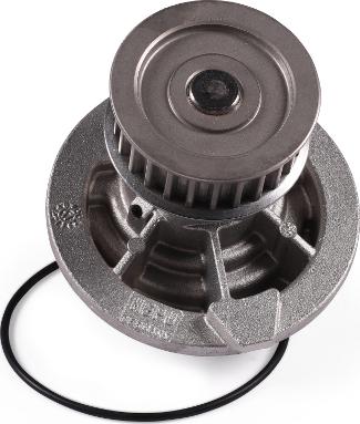 Hepu P314 - Water Pump onlydrive.pro