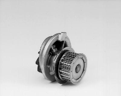 Hepu P318 - Water Pump onlydrive.pro