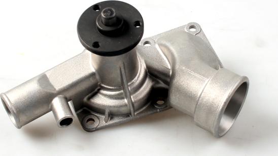 Hepu P384 - Water Pump onlydrive.pro