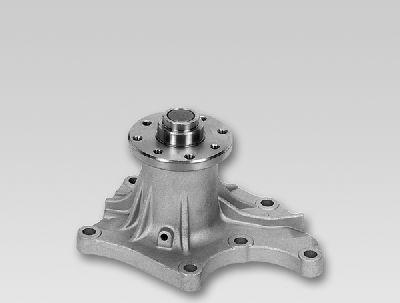 Hepu P3305 - Water Pump onlydrive.pro