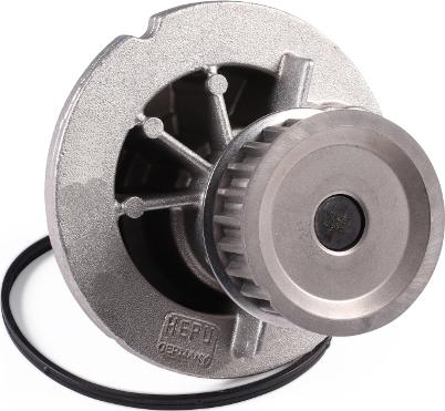 Hepu P324 - Water Pump onlydrive.pro