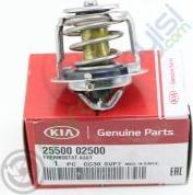 Hyundai 25500-02500 - Coolant thermostat / housing onlydrive.pro