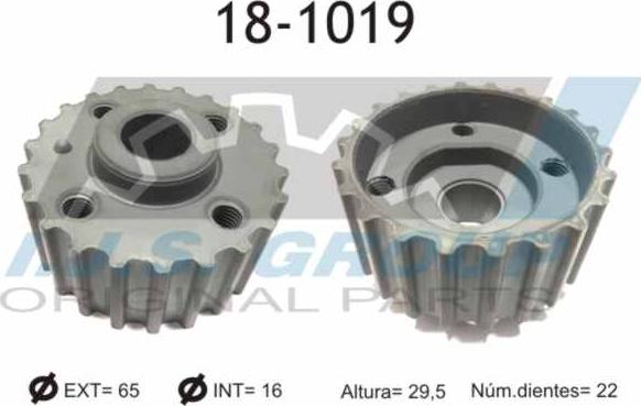 IJS GROUP 18-1019 - Gear, crankshaft onlydrive.pro