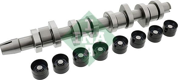 INA 428 0042 30 - Camshaft Kit onlydrive.pro