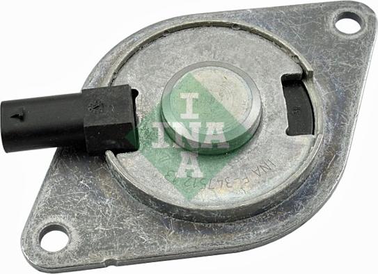INA 427 0018 10 - Central Magnet, camshaft adjustment onlydrive.pro