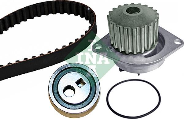 INA 530 0252 30 - Water Pump & Timing Belt Set onlydrive.pro