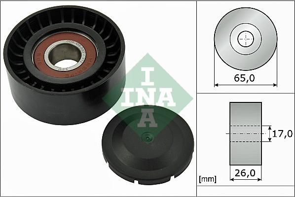 INA 532 0557 10 - Pulley, v-ribbed belt onlydrive.pro