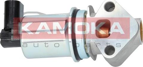 Kamoka 19006 - EGR Valve onlydrive.pro