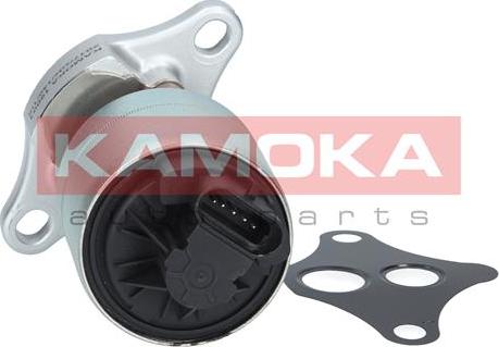 Kamoka 19001 - Клапан возврата ОГ onlydrive.pro