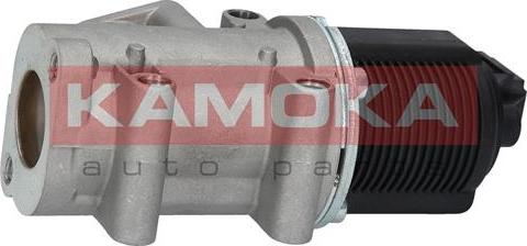 Kamoka 19014 - EGR Valve onlydrive.pro