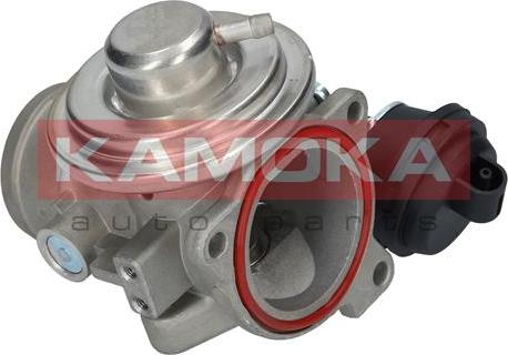 Kamoka 19024 - EGR Valve onlydrive.pro