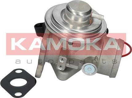 Kamoka 19025 - EGR Valve onlydrive.pro