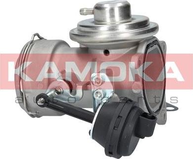 Kamoka 19026 - EGR Valve onlydrive.pro