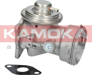 Kamoka 19026 - EGR Valve onlydrive.pro