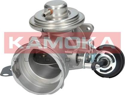 Kamoka 19026 - EGR Valve onlydrive.pro