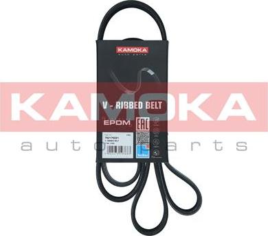 Kamoka 7017031 - V-Ribbed Belt onlydrive.pro