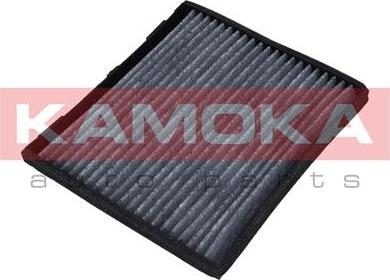 Kamoka F503001 - Filtras, salono oras onlydrive.pro