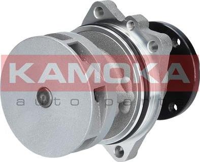 Kamoka T0058 - Water Pump onlydrive.pro