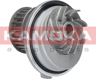 Kamoka T0069 - Water Pump onlydrive.pro