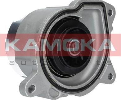 Kamoka T0019 - Water Pump onlydrive.pro