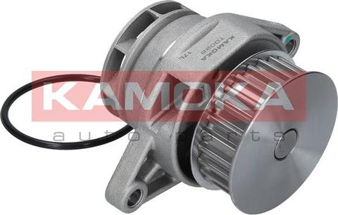 Kamoka T0026 - Veepump onlydrive.pro