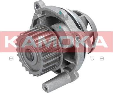 Kamoka T0028 - Veepump onlydrive.pro