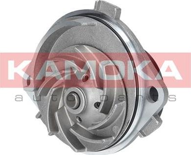 Kamoka T0111 - Water Pump onlydrive.pro