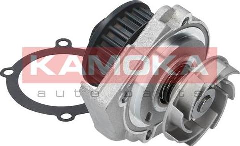 Kamoka T0118 - Water Pump onlydrive.pro