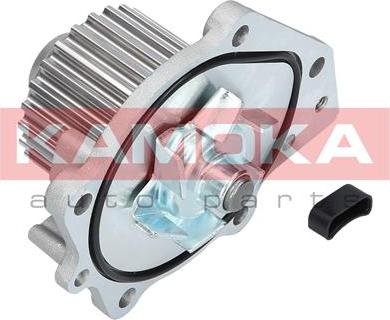 Kamoka T0174 - Water Pump onlydrive.pro