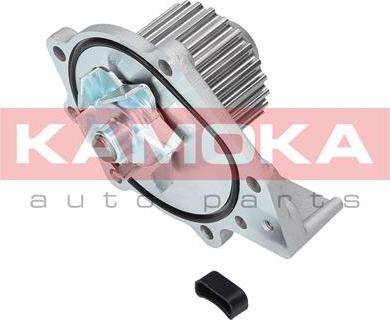 Kamoka T0174 - Water Pump onlydrive.pro