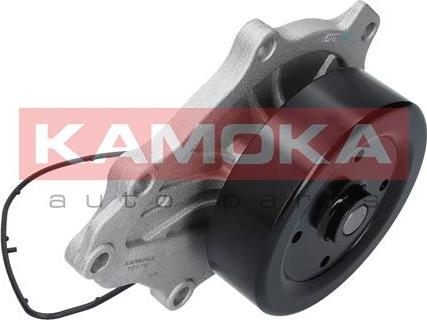 Kamoka T0176 - Water Pump onlydrive.pro