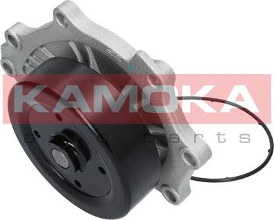 Kamoka T0176 - Water Pump onlydrive.pro