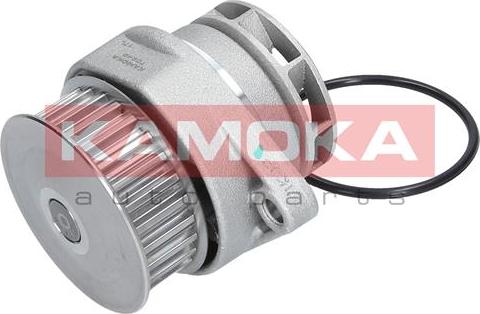 Kamoka T0249 - Water Pump onlydrive.pro