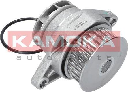 Kamoka T0249 - Water Pump onlydrive.pro