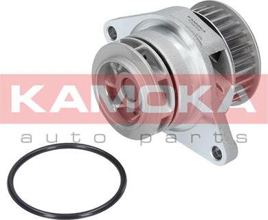 Kamoka T0249 - Water Pump onlydrive.pro